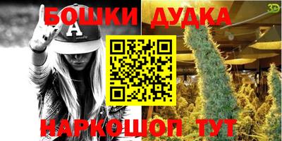 прущие грибы Будённовск