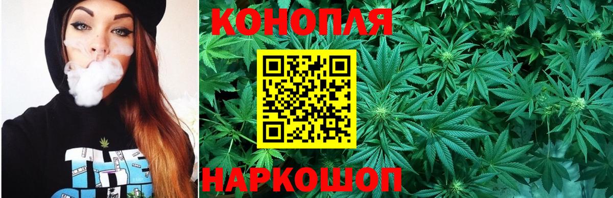 Бошки Шишки ГИДРОПОН  Вход с VPN  Сокол  Шишки марихуана тримм 